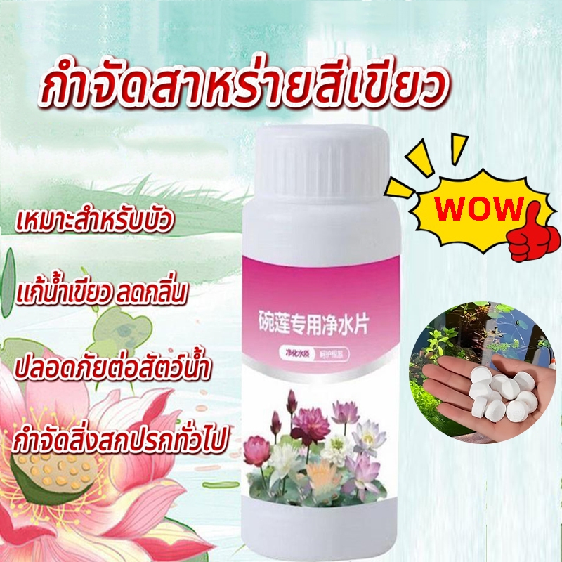 ปุ๋ยบัว น้ำยาปรับสภาพน้ำ 100g 1ขวด ละลายอุจจาระ ดับกลิ่นเหม็น และปรับปรุงคุณภาพน้ำบ่อเลี้ยงสัตว์น้ำ