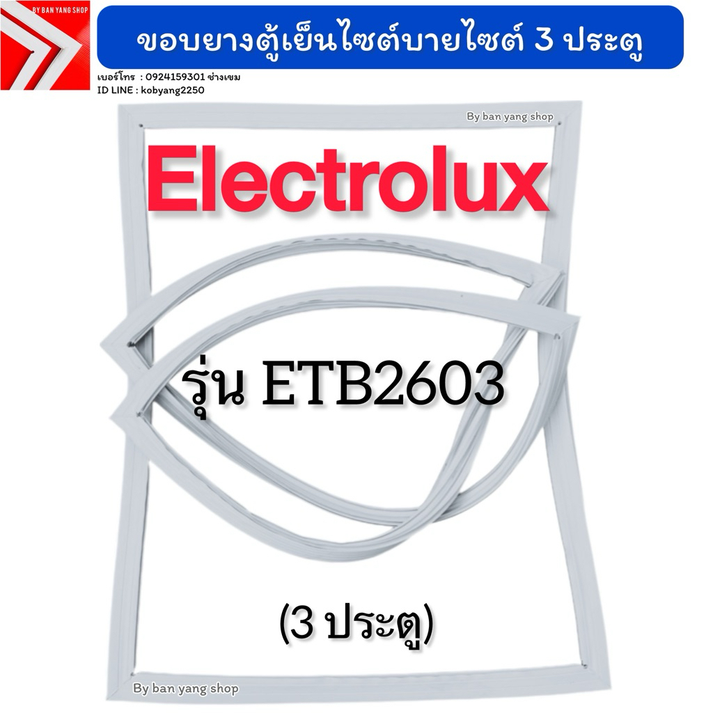 ขอบยางตู้เย็นไซต์บายไซต์ Electrolux รุ่น ETB2603 (3 ประตู)