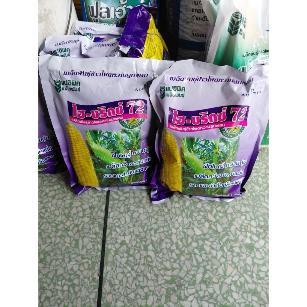ไฮบริกซ์ 72 เมล็ดพันธุ์ข้าวโพดหวาน 1 กก. ฝักใหญ่ หวานนุ่ม เมล็ดกว้างอวบแน่น อายุ(15/8/69)