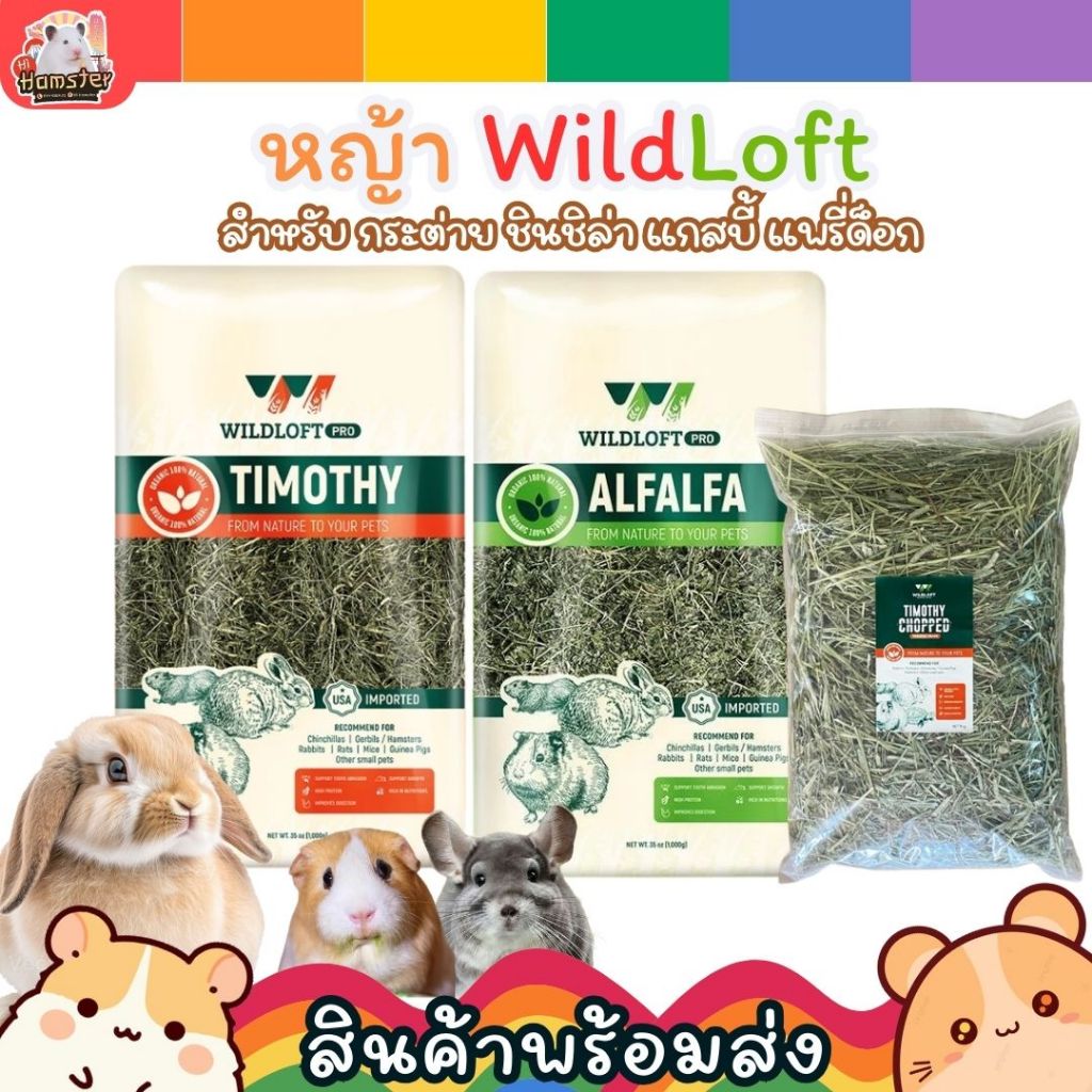 Wildloft หญ้าทิมโมธี หญ้าอัลฟาฟ่า ร่อนฝุ่น 1กิโลกรัม สำหรับกระต่าย แก้สบี้ ชินชิล่า พรีเมียม หอม เขียว