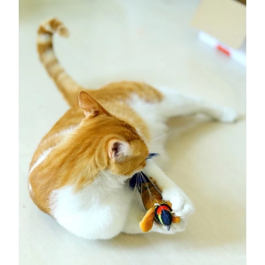 ของเล่นแมว ตุ๊กตานกร้องเพลง thumbnail 3