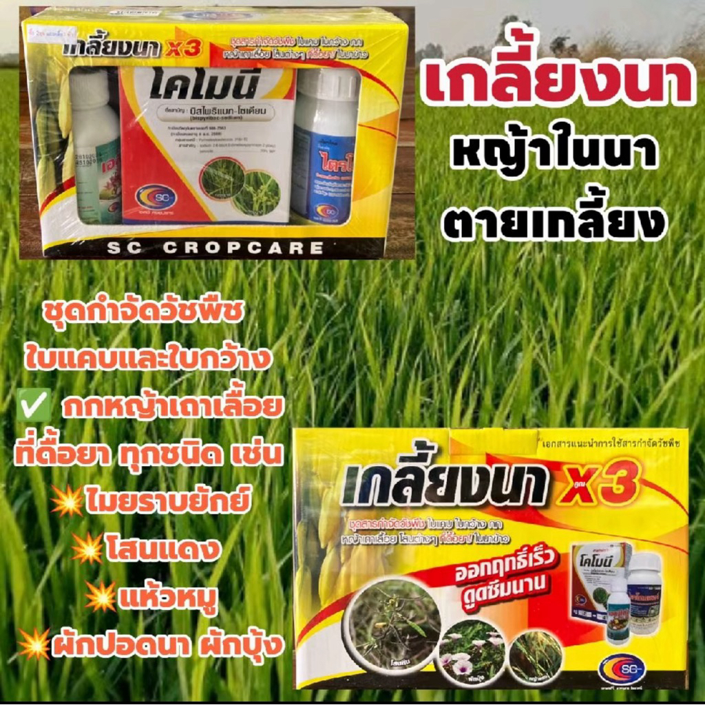 เกลี้ยงนาx3ชุดปราบหญ้านาข้าวกกใบกว้างใบแคบเถาเลื้อย