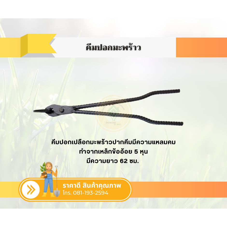 คีมปอกมะพร้าว คีมปอกเปลือก เหล็กปอกมะพร้าว เฉาะมะพร้าว เฉาะผล ใช้งานสำหรับปอกเปลือกมะพร้าว ทำจากเหล็กข้ออ้อย