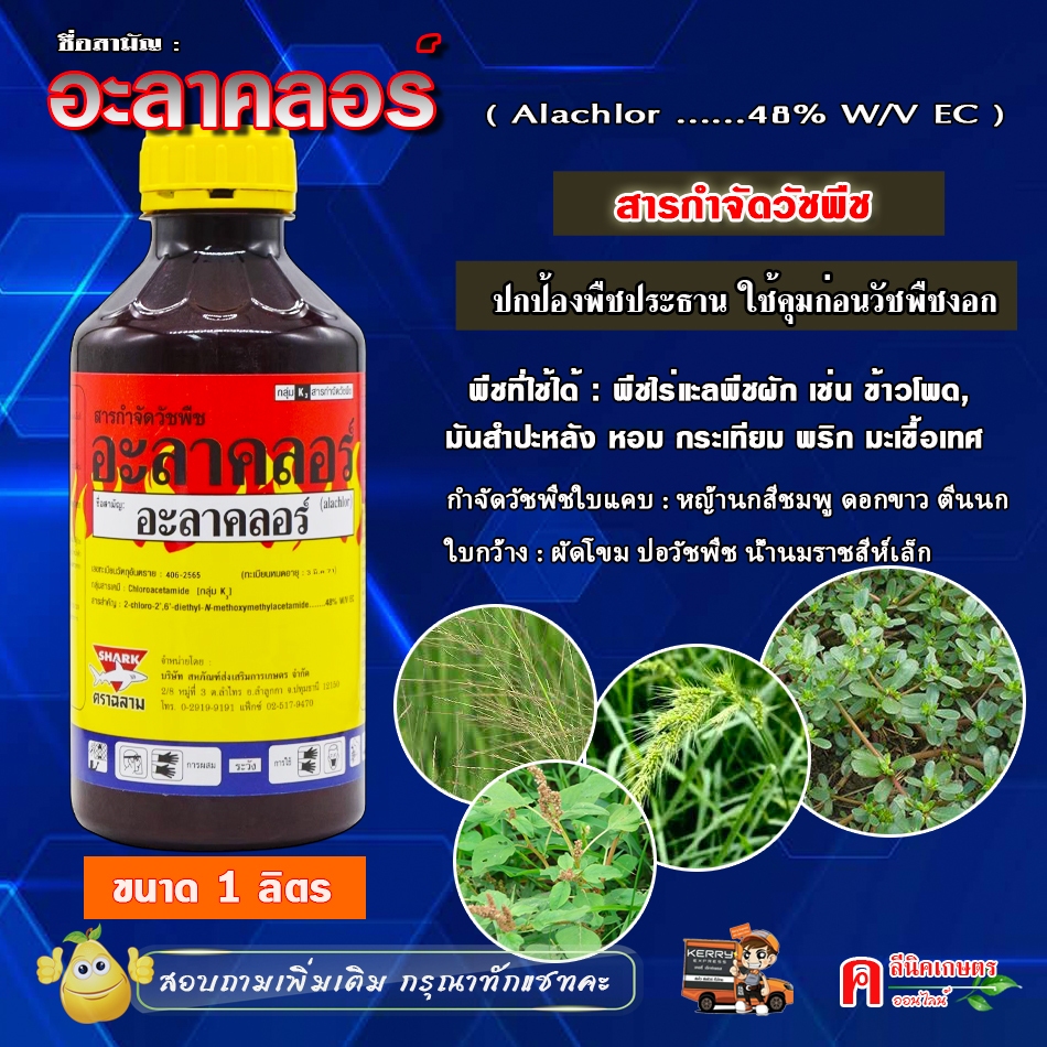 อะลาคลอร์ ( 1 ลิตร ) สารกำจัดวัชพืชใบแคบและใบกว้าง ปลอดภัยต่อพืชประธาน เช่น พืชผักทุกชนิด คะน้า