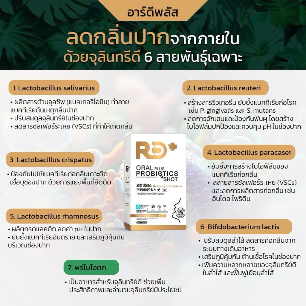 🌈👄RD+อาร์ดีพลัส โพรไบโอติกส์ระงับกลิ่นปาก thumbnail 8