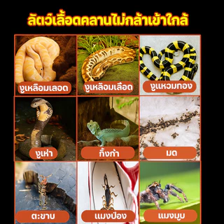 🐍ยาไล่งู ก้อนไล่งู กันงู 12 เม็ด สูตรเข้มข้น ใช้ในบ้าน สวน ฟาร์ม คุ้มครองยาวนาน