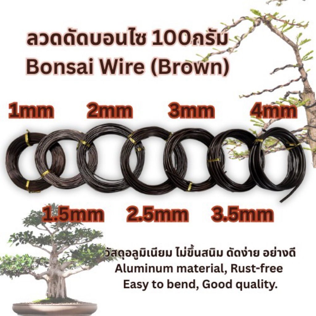 ส่งด่วน Bonsai wire aluminum ลวดดัดบอนไซ อลูมิเนียม 100กรัม สีทองแดง Brown ⌀1mm-4mm เหนียว ยืดหยุ่น ไม่เป็นสนิม ดัดง่าย