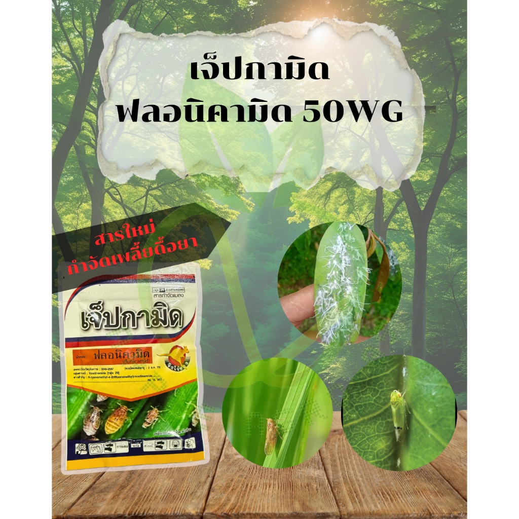 เจ็ปกามิด ฟลอนิคามิด 50% WG ขนาด 50 กรัม ป้องกันและกำจัดเพลี้ยกระโดดสีน้ำตาล เพลี้ยอ่อน เพลี้ยจักจั่นฝ้าย