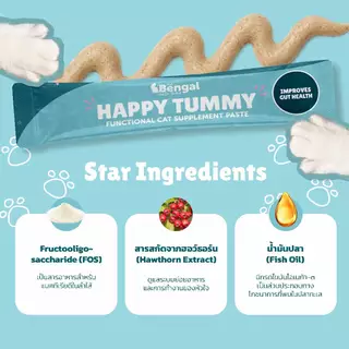 Prof. Bengal Happy Tummy Cat Paste ขนมแมวเลียสูตรทางเดินอาหาร ลำไส้ 200 กรัม (ใน 1 ถุงมี 20 ซอง ซองละ 10 กรัม) สำหรับแมว