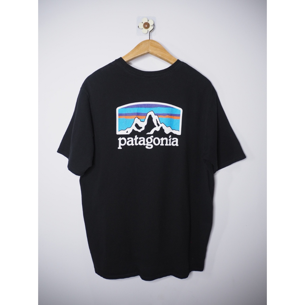 Patagonia Fitz tee มือสองแท้
