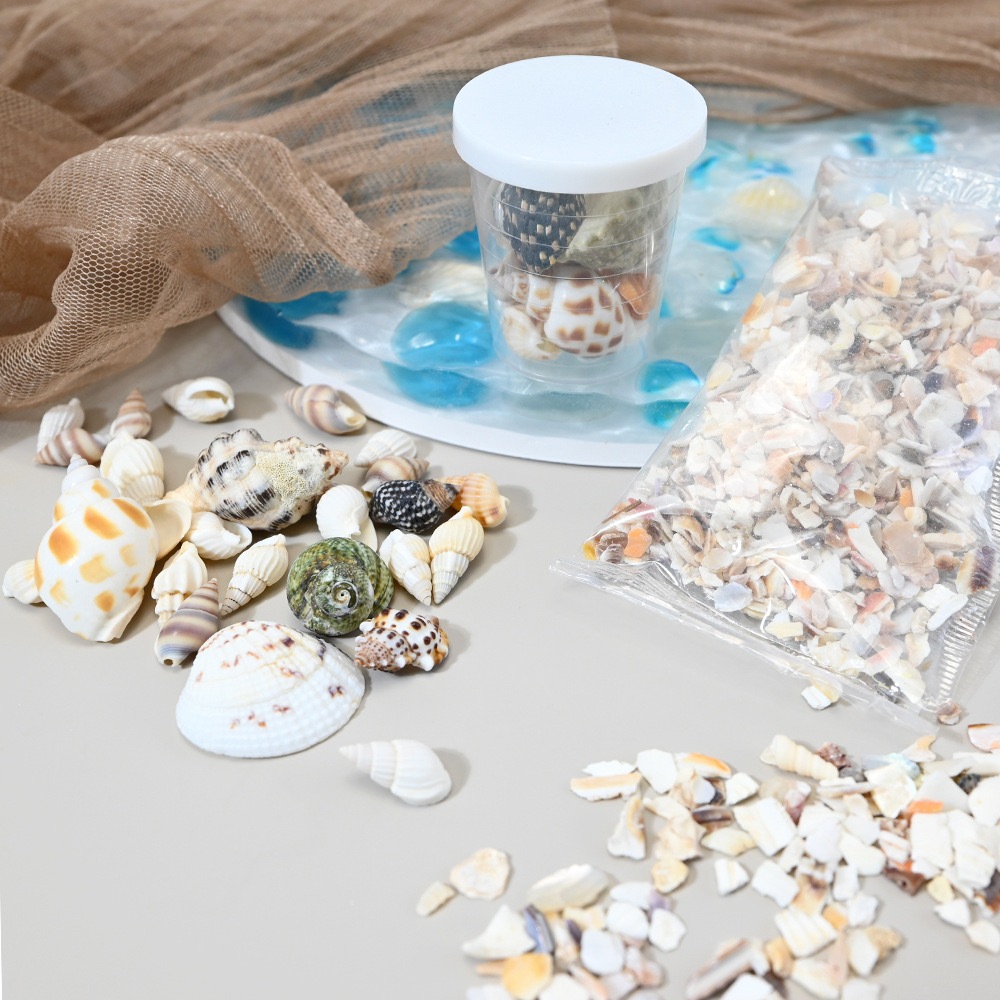 【พร้อมส่งจากไทย 】🐚✨เปลือกหอยตกแต่ง ใช้เป็นของตกแต่งหรือวัสดุใส่ในเรซิ่นขนาดเล็ก สำหรับงาน DIY 🐚✨