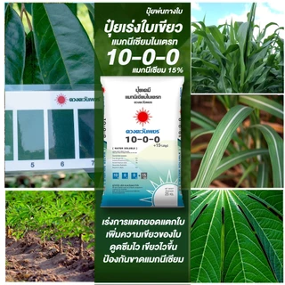 ปุ๋ยเคมี 10-0-0 แมกนีเซียมไนเตรท(เม็ด) 25 กิโลกรัม ละลายน้ำ 100% มีแมกนีเซียม 15% ช่วยกระตุ้นใบเขียว