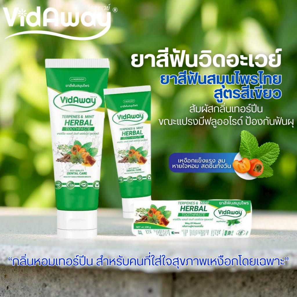 Vidaway Terpenes & Mint ยาสีฟันสมุนไพรสูตรเขียว ดูแลเหงือก ฟันสะอาด ลมหายใจหอมสดชื่น