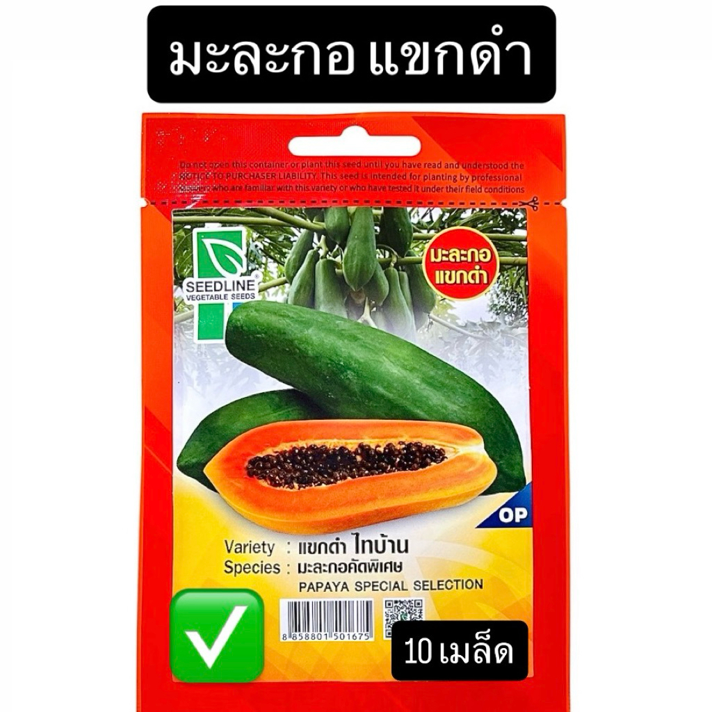 มะละกอ แขกดำ คัดพิเศษ (10 เมล็ด) ซีดไลน์