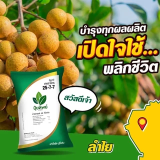 (แบ่งขาย 1 กก.)ปุ๋ยทิพย์ 25-7-7+1MgO 1 kg เร่งต้น เร่งใบเขียว