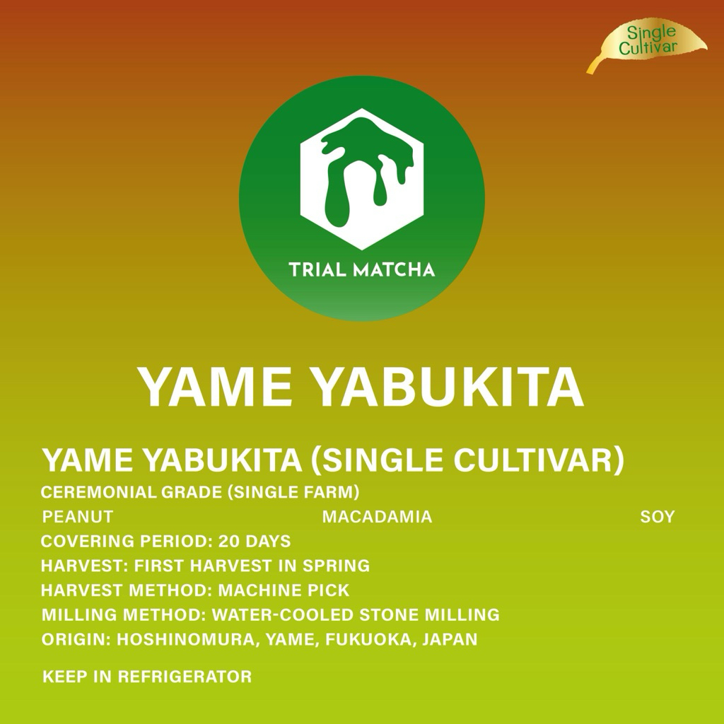 TRIAL MATCHA | ผงมัทฉะยาเมะสายพันธุ์เดี่ยว Yame Yabukita Single cultivar