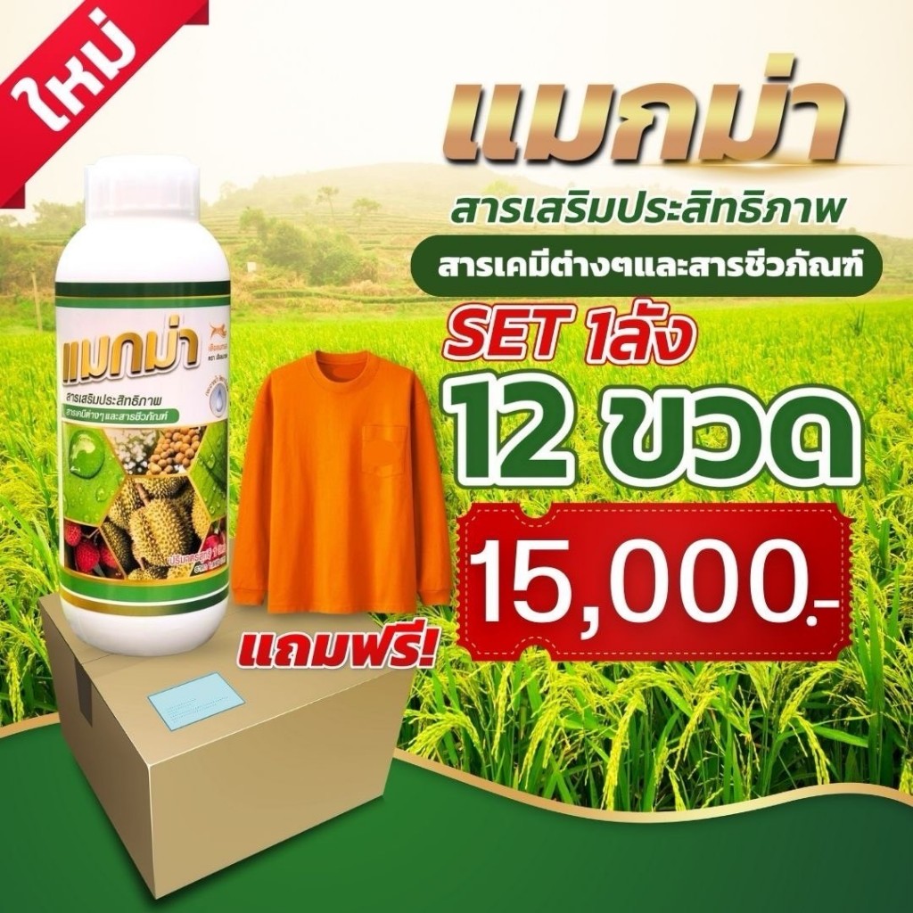 📌 📌 ส่งฟรี 📌 📌 แมกม่า ( 1000 ซีซี 1 ลัง) สารจับใบเสริมประสิทธิภาพ ต้านเพลี้ยลดการหลุดร่วง ใช้กับพืชได้ทุกชนิด แมกม่าลาวา