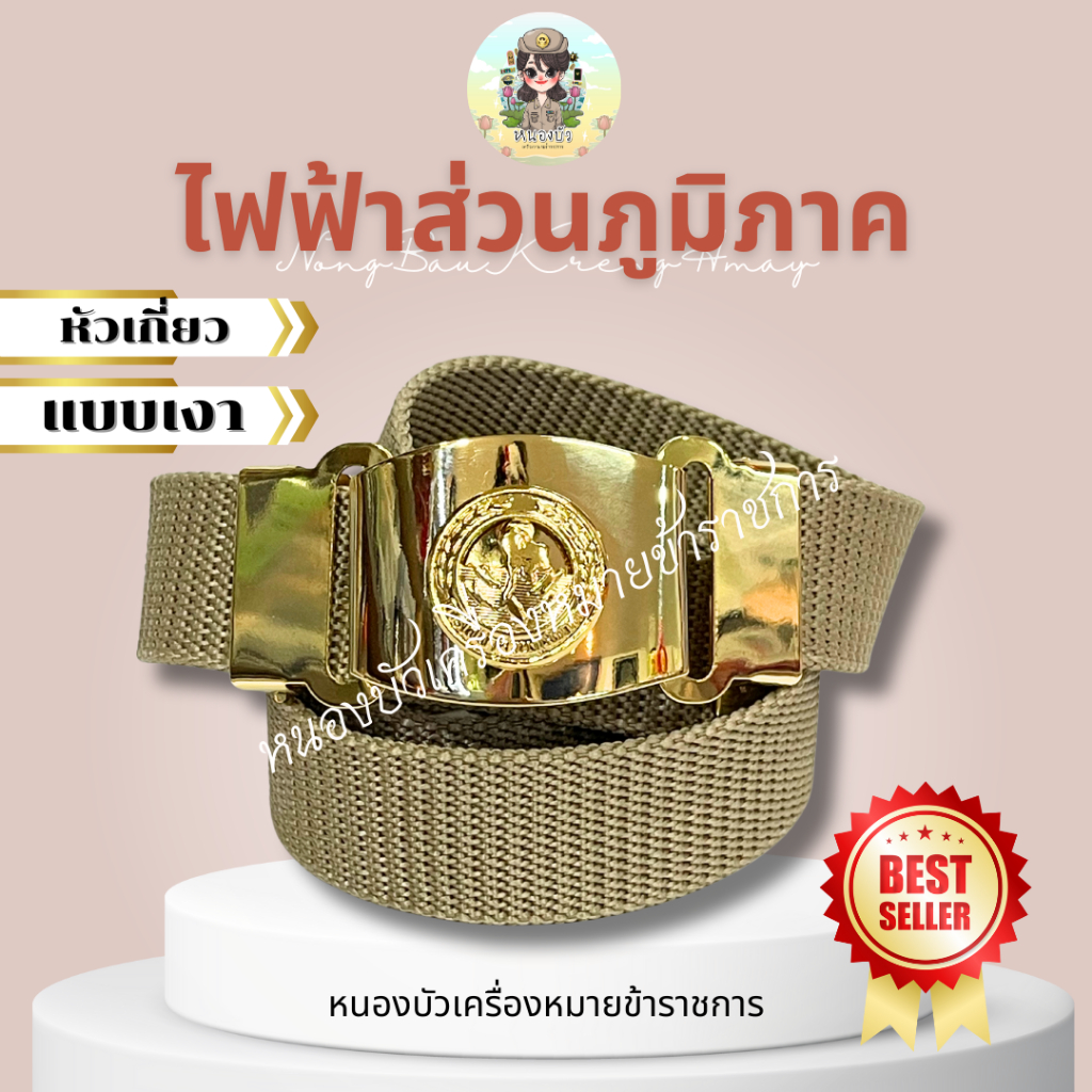 เข็มขัดไฟฟ้า เข็มขัดไฟฟ้าส่วนภูมิภาค รูปที่ 7