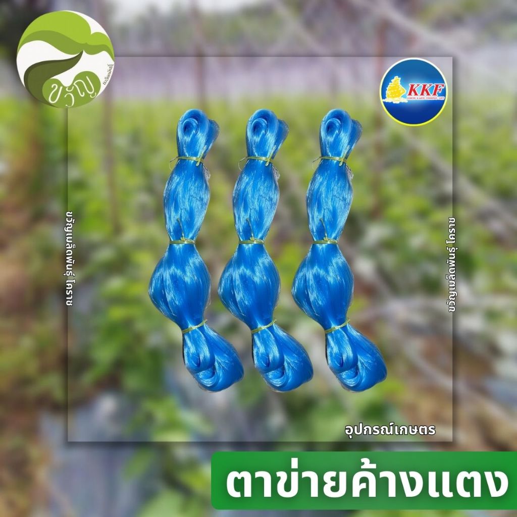 อุปกรณ์การเกษตร ตาข่ายปลูกผัก ตรา เรือใบ ค้างผัก โครงไม้เรื้อย ค้างแตง ขนาด 180 ซม. 20ตา