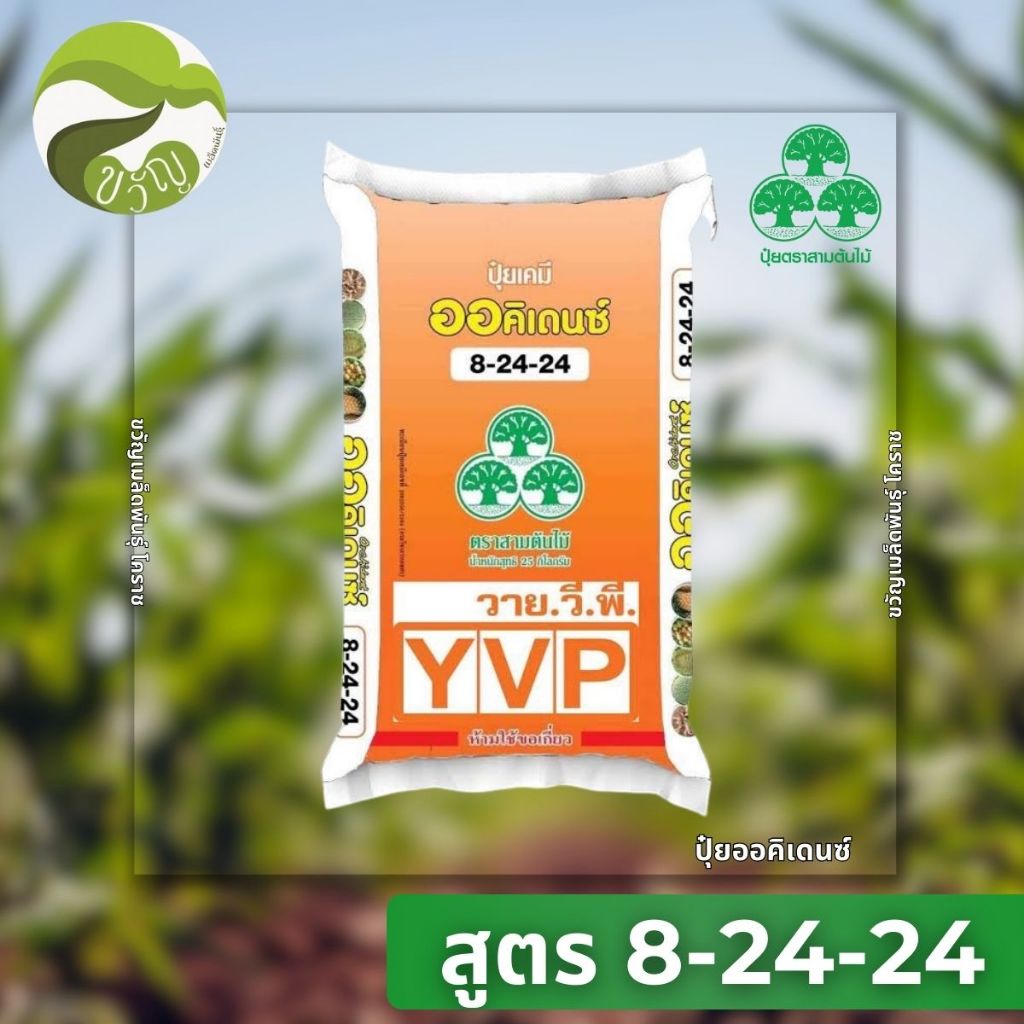 ปุ๋ยเกล็ด ออคิเดนซ์ ระบบน้ำ เร่งสะสมอาหาร สูตร 8-24-24  บรรจุ 25 กิโลกรัม