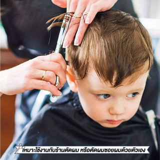 THEWIN กรรไกรตัดผมสเตนเลส กรรไกรซอยผม กรรไกรตัดผมมืออาชีพ Barber Scissors สําหรับครัวเรือน