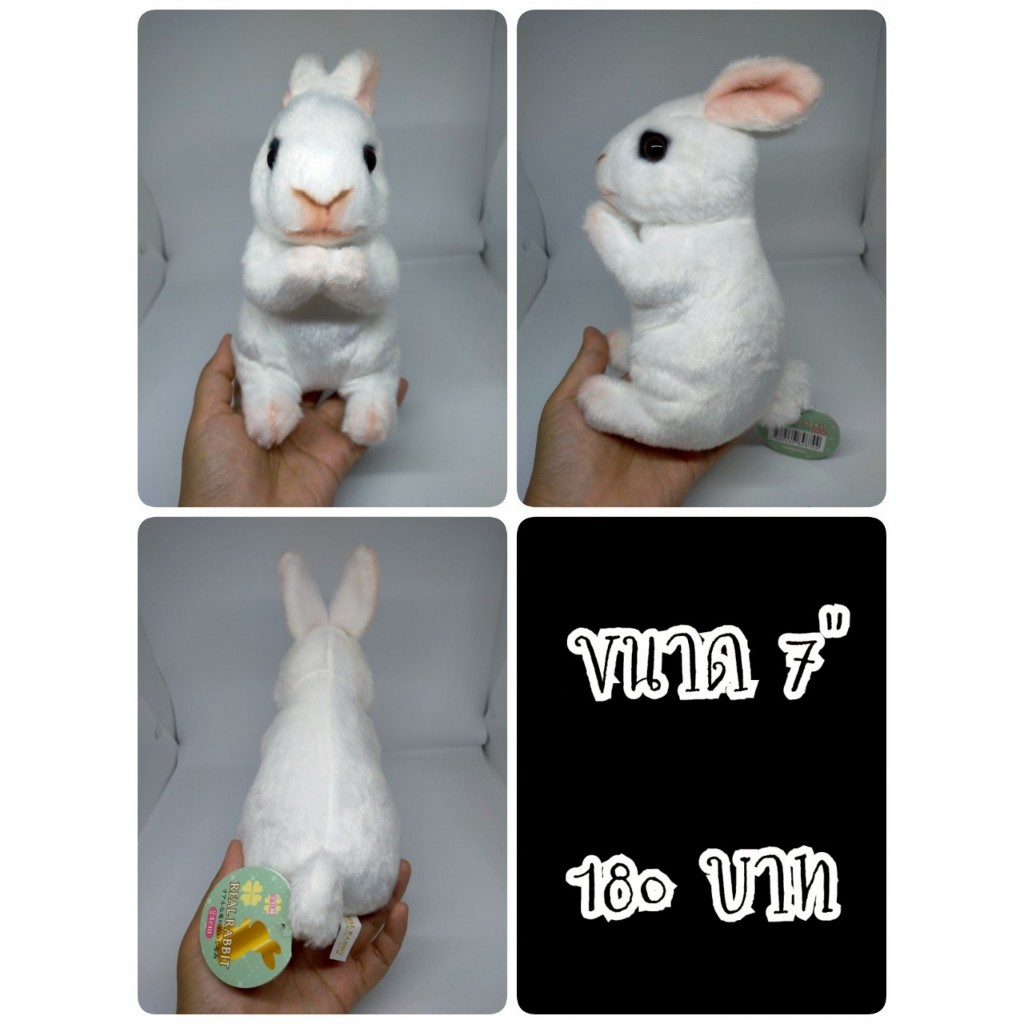 Rabbit#Real Rabbit#Realistic Rabbit#กระต่าย#ป้ายห้อย#ตุ๊กตาญี่ปุ่นมือสอง