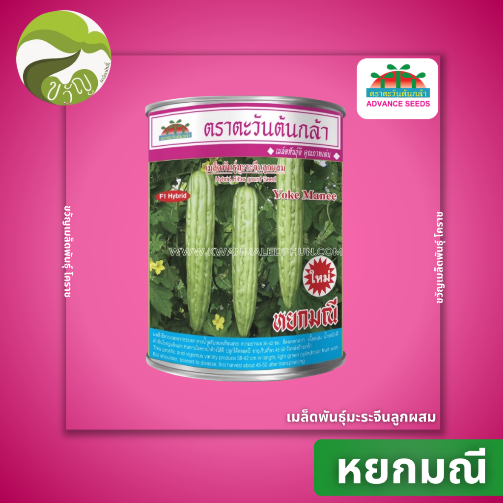 เมล็ดพันธุ์มะระจีน หยกมณี มะระจีน ตรา ตะวันต้นกล้า 100 กรัม ลอตใหม่ – โปรปัง