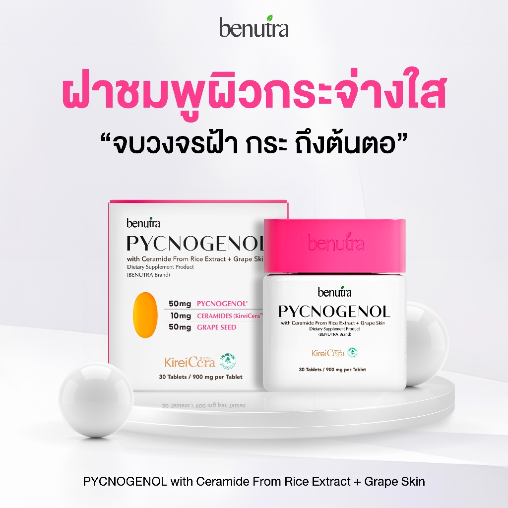 (Benutra Pycnogenol บีนูทร่า พิกโนจีนอล) with Ceramide From Rice Extract + Grape Skin