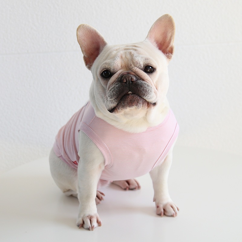 พร้อมส่ง‼เสื้อนอน Petsyleลายขวางสำหรับน้องเฟรนช์บูลด๊อก รูปที่ 6