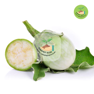 พิเศษ9บาท เมล็ดพันธุ์มะเขือเปราะ 50 เมล็ด