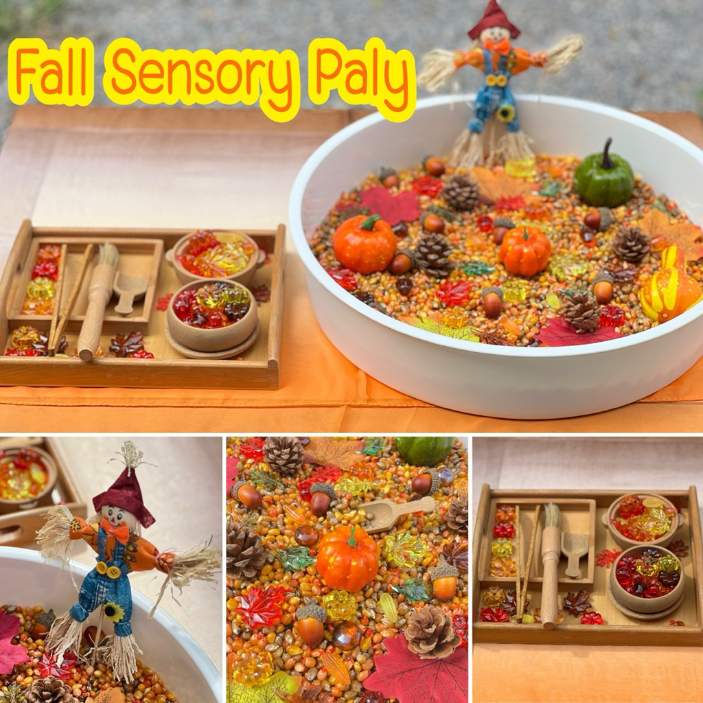 (พร้อมส่ง )Autumn - Fall Sensory Play พร็อพธีมฤดูใบไม้ร่วง -Sensory Play by KT