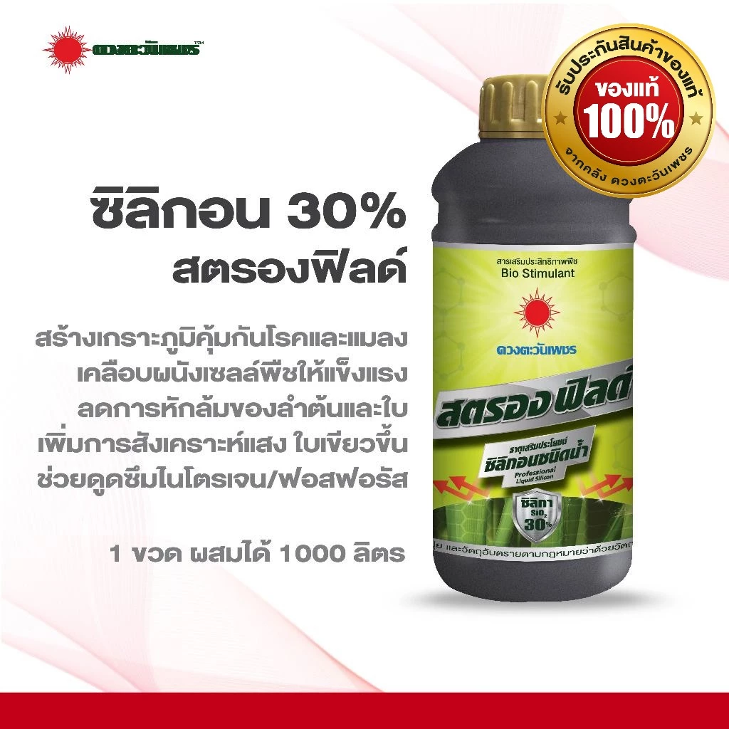 สตรองฟิลด์ ซิลิกอนเข้มข้น ดวงตะวันเพชร 1 ลิตร ลำต้นแข็งแรง มีภูมิต้านทานโรค/แมลง