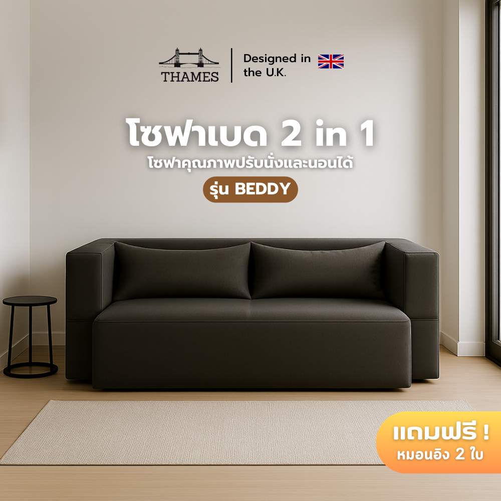 Thames  โซฟาเบด 2 in 1 อัดสูญญากาศ รุ่น BEDDY ดีไซน์เรียบหรู คุณภาพพรีเมียม ปรับนั่งและนอนได้ พร้อมหมอนอิงฟรี 2 ใบ – โปรปัง