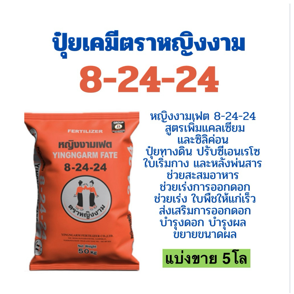 8-24-24ปุ๋ยหญิงงาม แบ่งขาย 5โล ปุ๋ยเคมี ช่วยสะสมอาหาร ช่วยเร่งการออกดอก ช่วยเร่ง ใบพืชให้แก่เร็ว บำร
