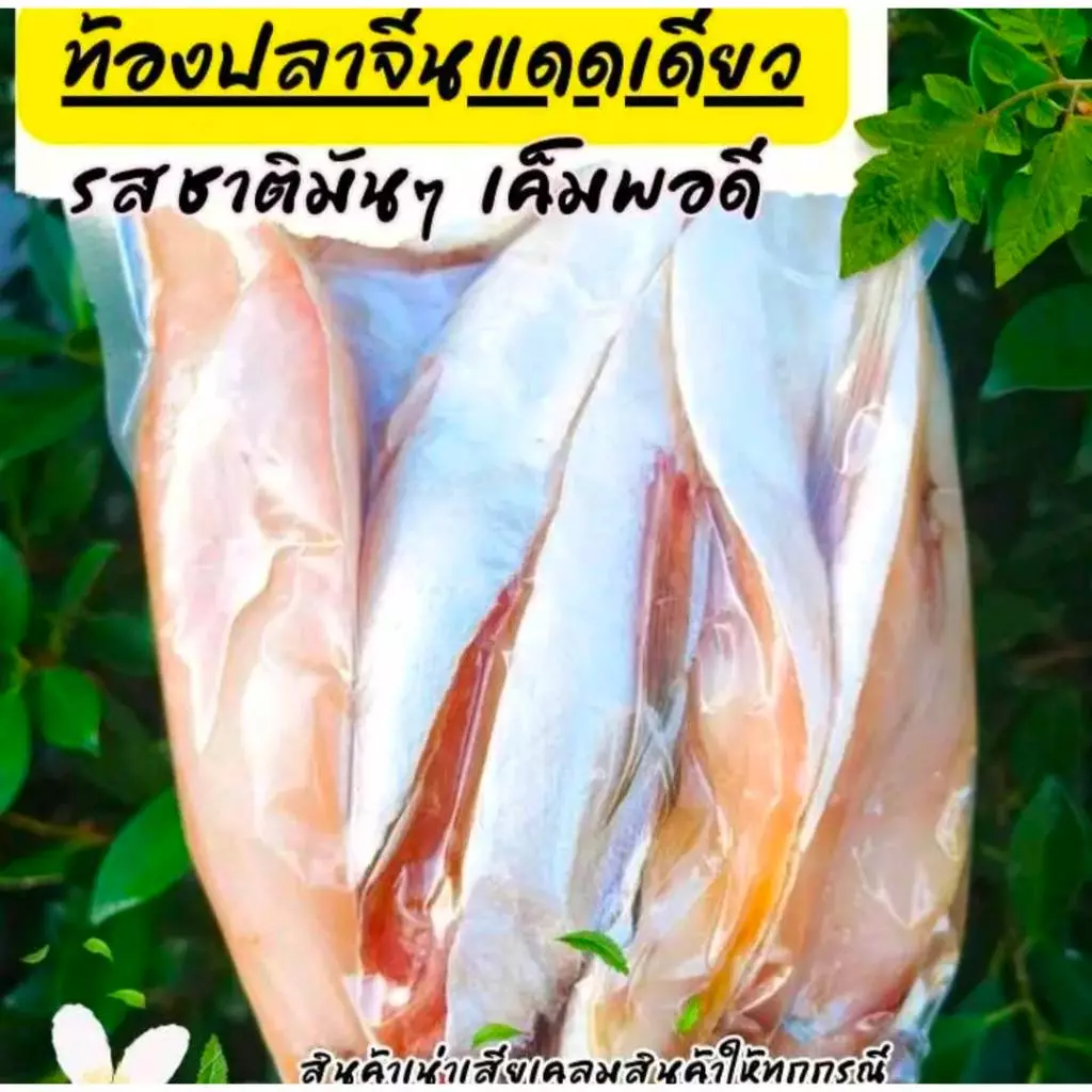 ท้องปลาจีนแดดเดียว ท้องปลาจีน ไม่ใส่สาร ไม่ใส่สี
