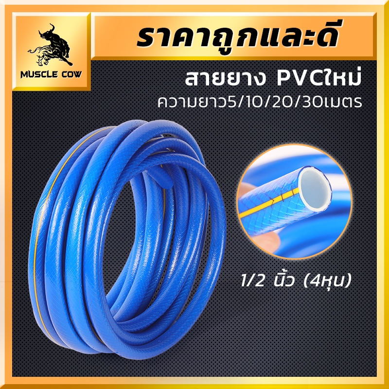 MUSCLE COW สีฟ้า 1/2 นิ้ว สายยาง PVC แข็งแรง ทนทาน มีหลายความยาว 5m 10m 20m 30m เหมาะสำหรับสวนและงานบ้าน