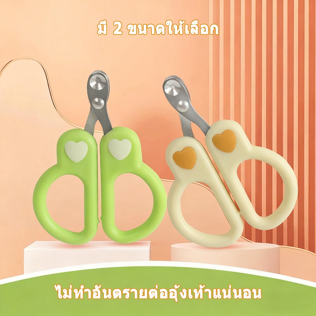 รูปภาพ 3