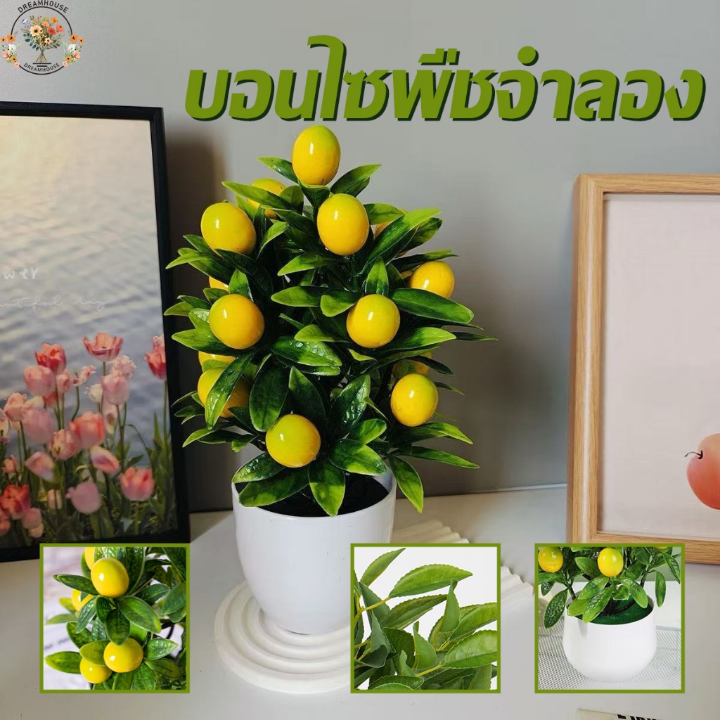 พืชประดิษฐ์ ผลไม้ต่างๆประดับตกแต่งบ้าน 4ข้อกำหนดให้เลือก พืชสมจริง พื้นที่เล็ก ๆ ที่ถูกครอบครอง สำหรับบ้าน ใช้ในสำนักงาน