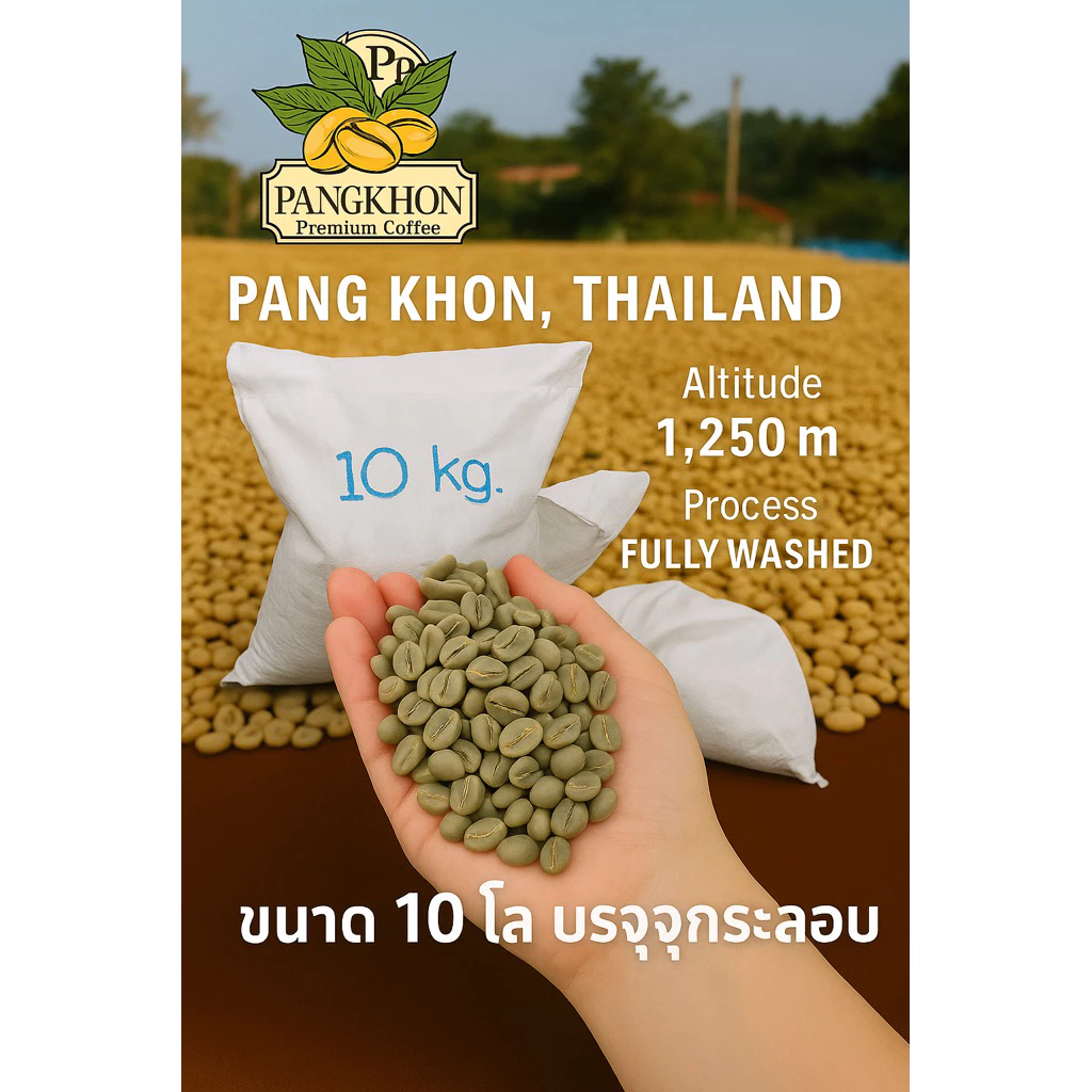 โปรโมชั่น สารกาแฟปางขอนเกรดพีเมี่ยม ขนาด 10 กิโล ราคาพิเศษ บรรจุกระสอบ