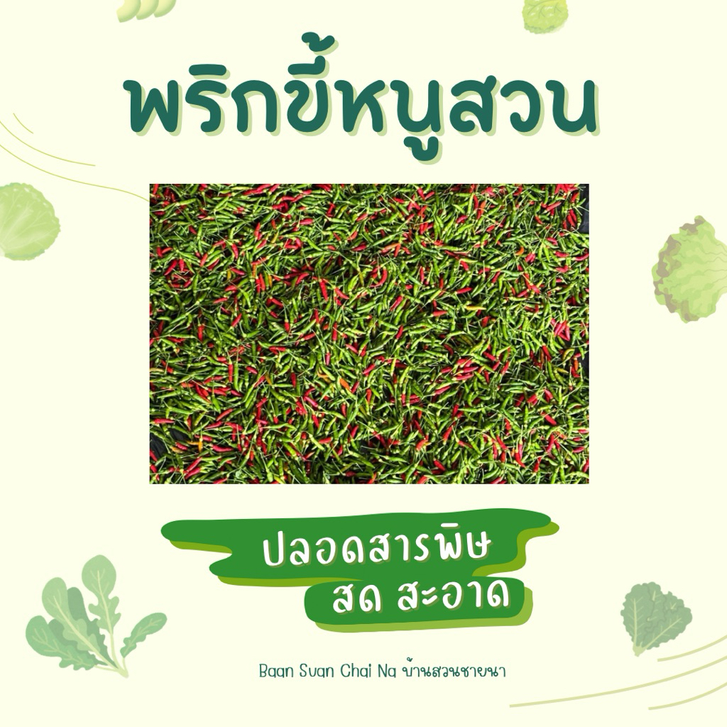 พริกขี้หนูสวน 500g. สด สะอาด ปลอดสารพิษ ใหม่จากสวน