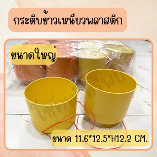 กระติกข้าวเหนียว พลาสติก (แพคละ12ชิ้น )ในราคาถูกๆจ้า