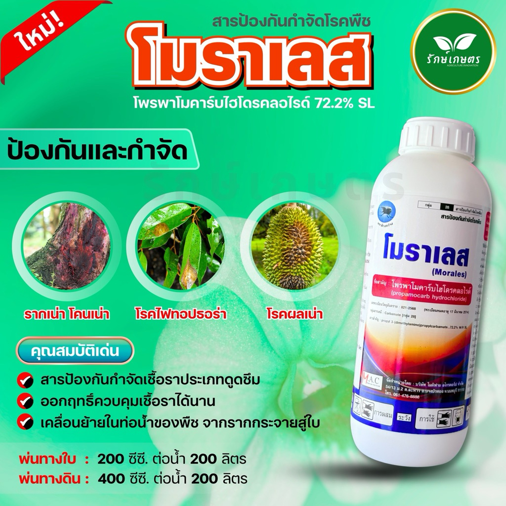 โพพาโมคาร์บ ไฮโดรคลอไรด์............72.2%SL(โมราเลส) หยุดไฟท็อป 1 ลิตร