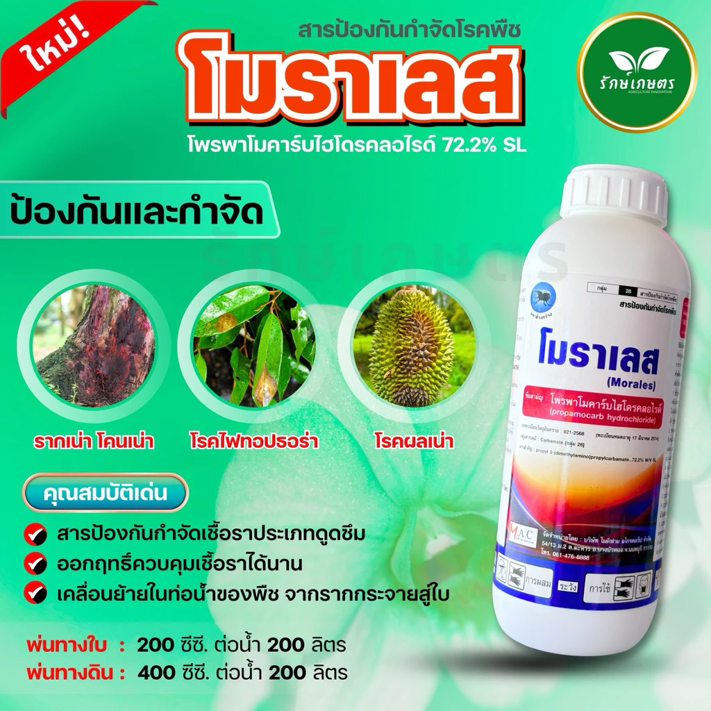 โพพาโมคาร์บ ไฮโดรคลอไรด์............72.2%SL(โมราเลส) หยุดไฟท็อป 1 ลิตร