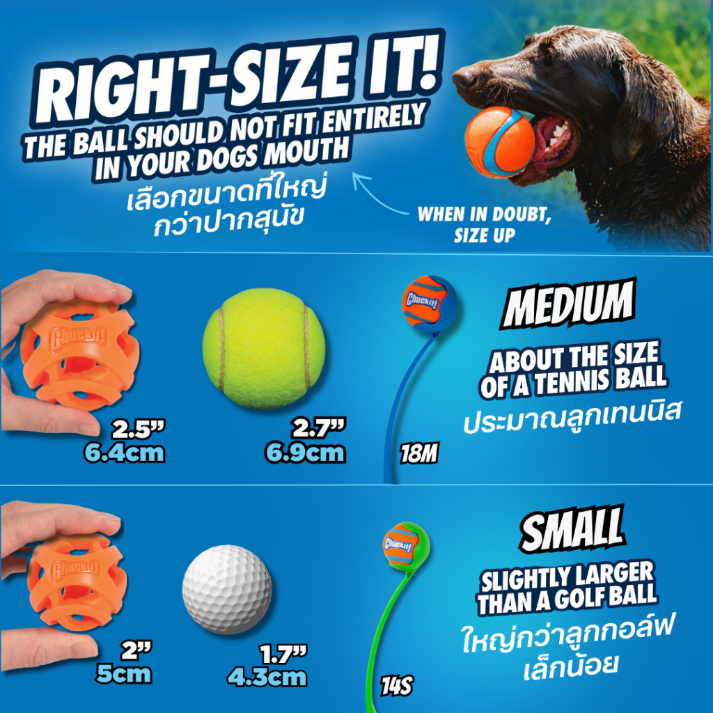 Chuckit! AIR FETCH BALL Dog Toy Easier breathing with Unique openings can be used as a treat ball - รูปที่ 5