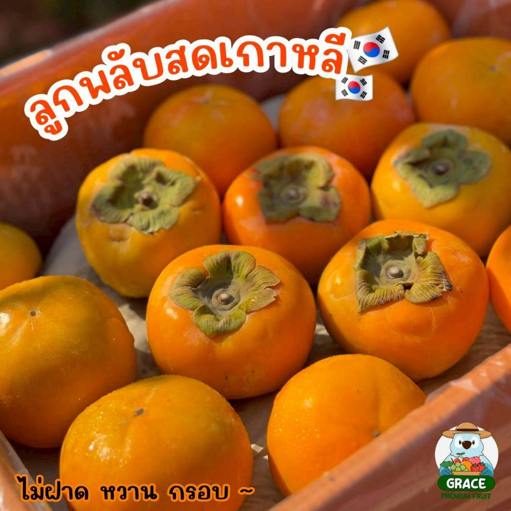 ลูกพลับสด เกาหลี (เบอร์ L) กรอบ หวาน