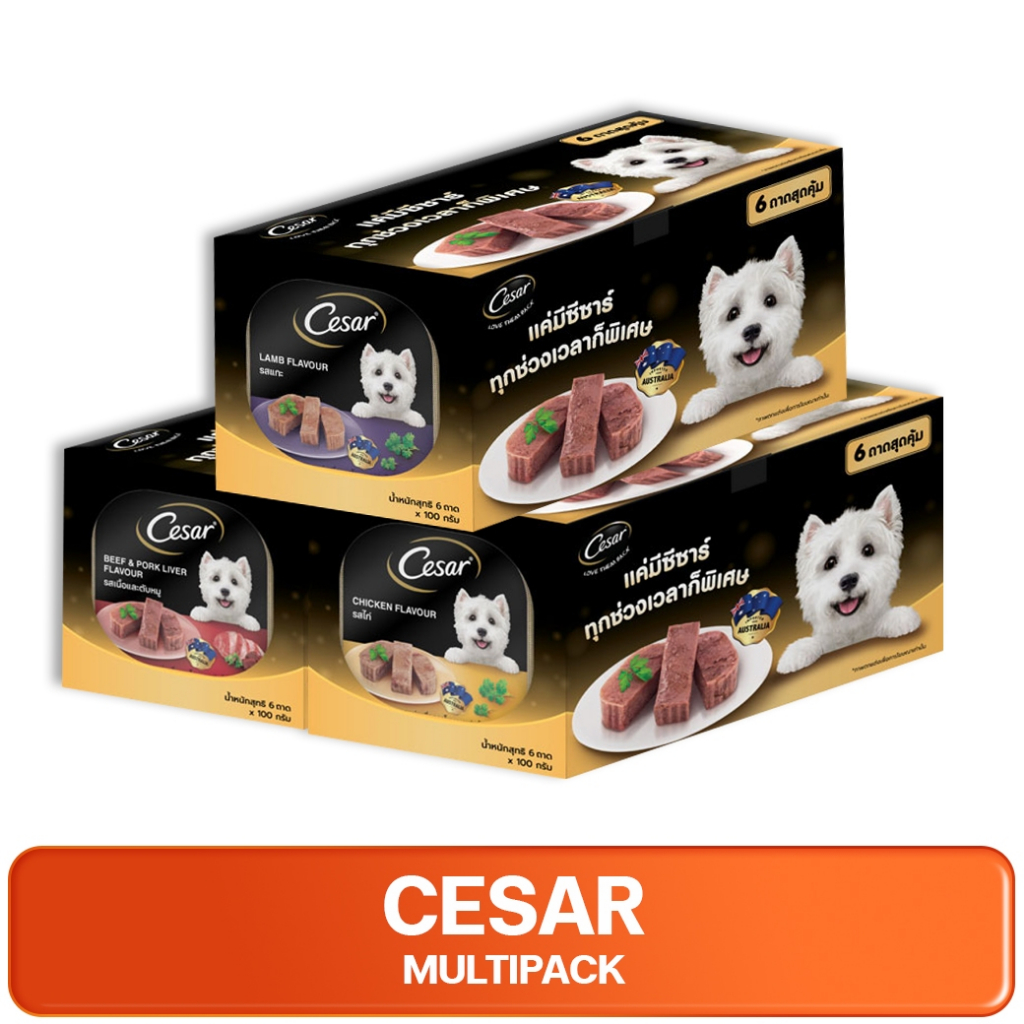 CESAR Multipack Cat Food Tray ซีซาร์ อาหารเปียกสำหรับสุนัข ชนิดถาด 100 กรัม