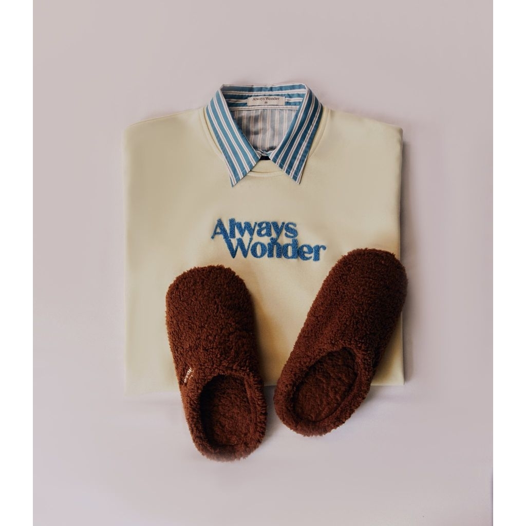 Always Wonder light layer Sweater