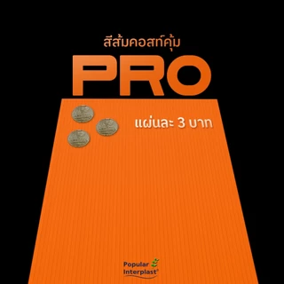 Future Board ฟิวเจอร์บอร์ด ขนาด A4 : 21x29.7cmxหนา2mm.[แพ็ค10แผ่น] สินค้าผลิตและจำหน่ายเอง