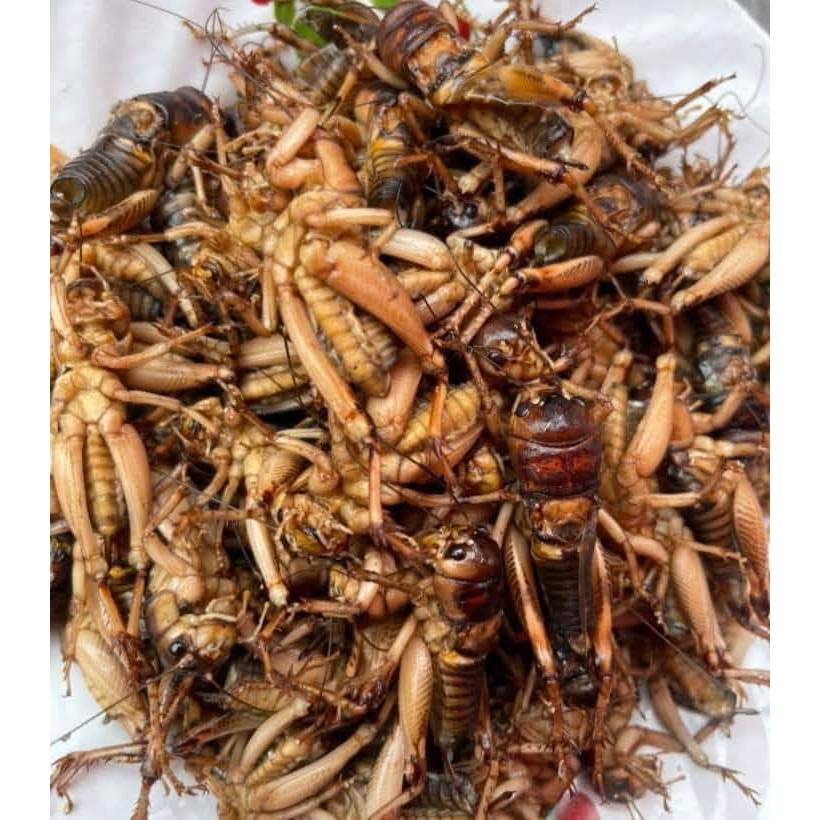 จิกุ่ง จิโป่ม (ถุงละ 100 ตัว)ของสด อาหารตามฤดูกาล (ส่งรถแช่เย็น)