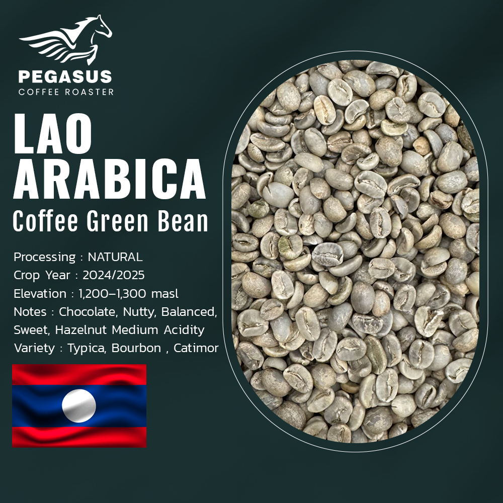 Pegasus Lao Arabica Green coffee bean สารกาแฟอราบิก้า ลาว คัดพิเศษ ขนาด 1 กิโลกรัม